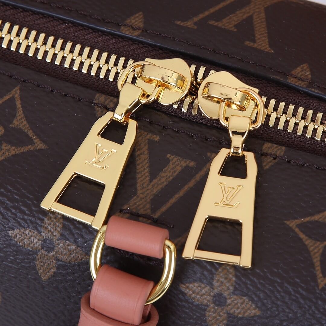 LV Petite Malle Souple Handbag