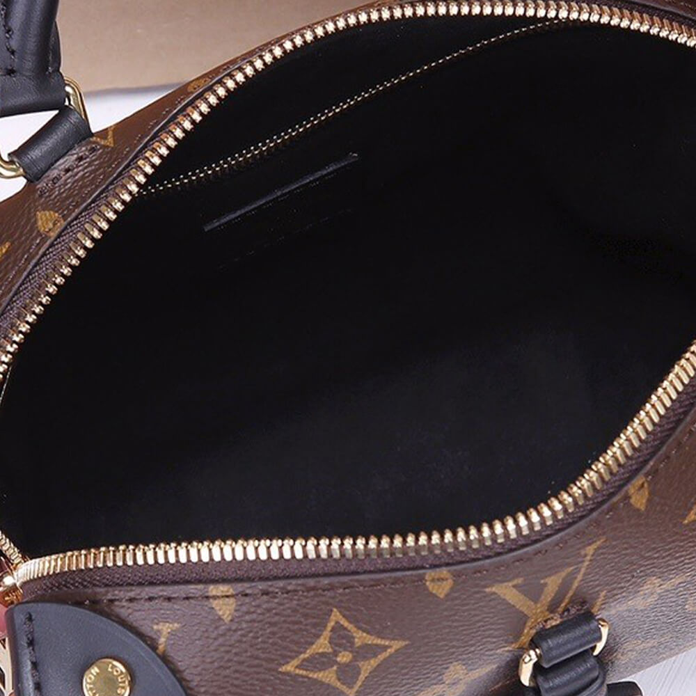 LV Petite Malle Souple Handbag